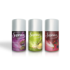 Pack Aerosoles Saphirus x 3